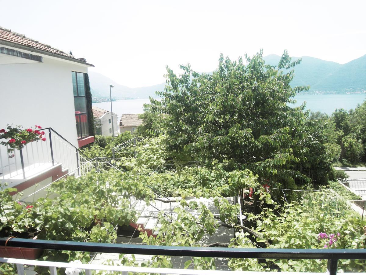 Apartment Ivana Kotor Exterior foto