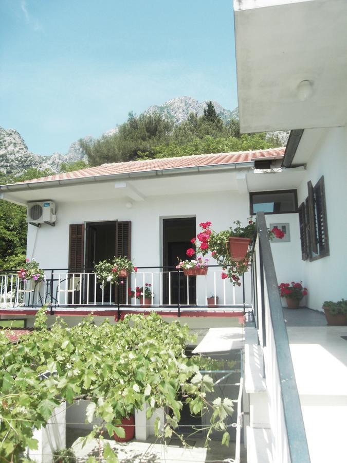 Apartment Ivana Kotor Exterior foto