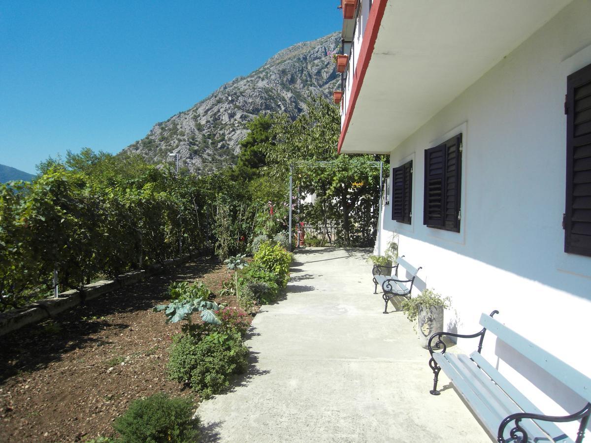 Apartment Ivana Kotor Exterior foto